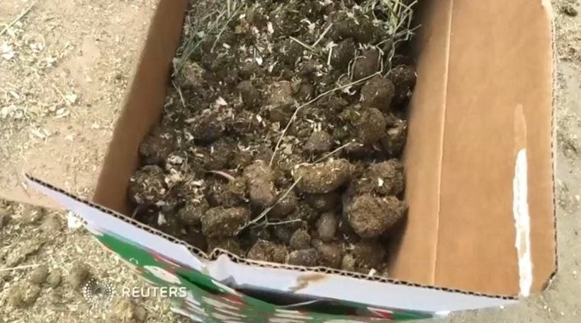 Ψυχολόγος ο αποστολέας της κοπριάς στον υπ. Οικονομικών των ΗΠΑ για το φορολογικό νομοσχέδιο